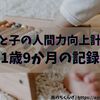 【人間をやめている母と1歳10か月児の成長記録】うちの子、保育園でもマイペースでした（誰に似たんだ）