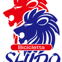 Bicicletta SHIDO