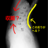 今日のリハビリ 4