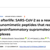 COVID-19が重篤炎症に至る謎を解く鍵はウイルスの断片