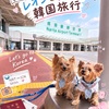 【犬連れ韓国旅行】チュソクのソウルをヨーキー2匹と旅してみた！雨の日の観光＆無事帰国｜3〜4日目