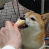 これって、ダメなんじゃないの？