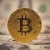 ビットコインが危機から何度も復活する理由