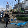 【子鉄スポット】真上を電車が走る港区立本芝公園