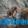 【親子だから許される】ってなに⁉︎当たり前のように信じてる人も多いけどめちゃめちゃ危険な考え方だよ