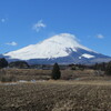 冬の富士山