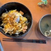 会社の胡蝶蘭ごめん！