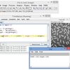 ImageJ Fiji + Python で画像解析プログラムを書こう（後編）