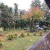 うっすらと紅葉　公民館まつりの準備　西条柿
