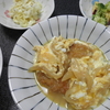 【ある日の晩御飯】カツ玉子とじ