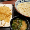 釜揚げうどんとかぼちゃ天