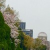 今年の桜