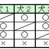 農夫の渡河問題（６）