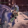 MONSTER HUNTER WORLD ICEBORNE:PS4版：イベントクエスト『されど気高き我が魂よ　ナナテスカトリ』されど兵器は使わない