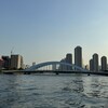 隅田川テラス5キロ：やはり秋は着実に濃くなっている中で無理しないように走る