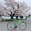 【愛車紹介】CANNONDALE CAAD OPTIMO