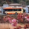 電車旅行満喫〜