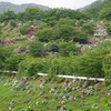 糸田町あじさい園～飛行場草刈！