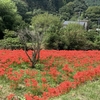 jibunn