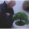 人と対話する自走式盆栽「bonsAI」