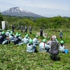 五所川原農林高校生によるウルシの森づくり