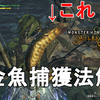 【MHWs】黄金魚の釣り方解説！釣り、それは人生のサイドミッションクリア！Monster Hunter Wilds【モンスターハンターワイルズ/ゆっくり実況/魚釣り】