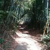 【山城巡り　〜滝山城〜】