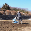 畑の準備とブロッコリー。