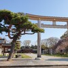 長野県護国神社 参拝＆桜限定御朱印