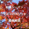 【１１月といえば紅葉狩り！】紅葉のメリットをわかりやすく解説