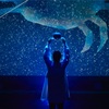 REBORN ART FESTIVAL2019 四次元の賢治完結編  