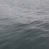 ライトショアジギング（真っ昼間編）