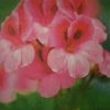 4 月15日誕生日の花と花言葉歌句