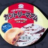 カントリーマアムカップアイス！コンビニのセブンで買えるカロリーや値段や味が気になるアイス商品