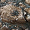 アメリカ、火星写真展、くっきりと見えるブルーベリー状の粒
