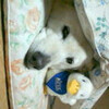 大晦日