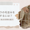 チンチラの毛がボサボサになる原因は？正しい対策で毛並みを良くしよう