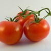 「最近トマト高いんだよね」「なんでトマトが高いの？」「何でだと思う？」「旬じゃないから！」「それも一つ。他には？」