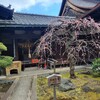 【京都】『観智院』に行ってきました。 京都旅 東寺