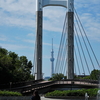 橋のある風景への旅③清澄白河『木場公園大橋』