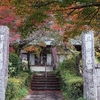 お寺の紅葉が見頃を迎えています🍁