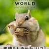 『素晴らしきかな、リス！』感想