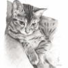 猫の絵・生活のなかで悩むこと