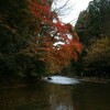 養老渓谷紅葉の旅2010（粟又遊歩道）