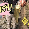 今週の釣果報告①🎣茨城県つくば市某池