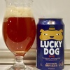 ジャケ買いビール「ラッキードッグ」