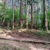 爺ヶ岳への肩慣らし〜鬼ヶ岳