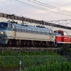 第1569列車　「　甲35 衣浦臨海鉄道 KE65 1の全般検査出場に伴う甲種輸送を狙う　」