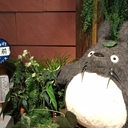 アラサー婚活女が本気の結婚を決意してオンラインサロンに入ってみた