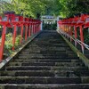 【遠見岬神社】房総半島を開拓した神様を祀る「かつうらビックひな祭り」で知られる神社